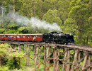 vic puffing billy