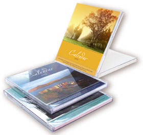 Desk Calendars Pic 1