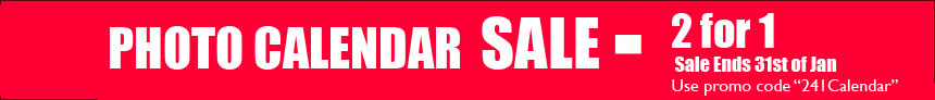 Jansale