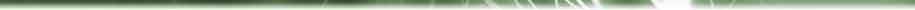 Digital-Banner_bottom
